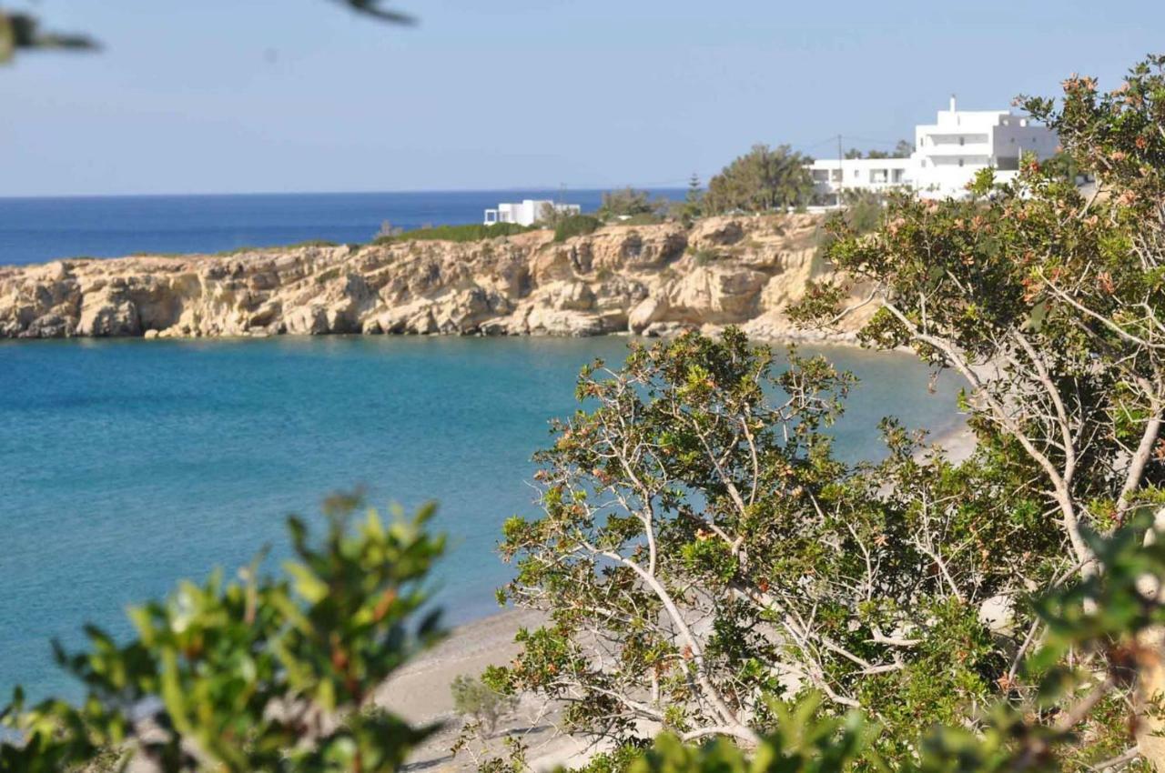 Beachfront Villa On Crete - Kirvas, Member Of Pelagaios Villas Koutsounari Eksteriør bilde